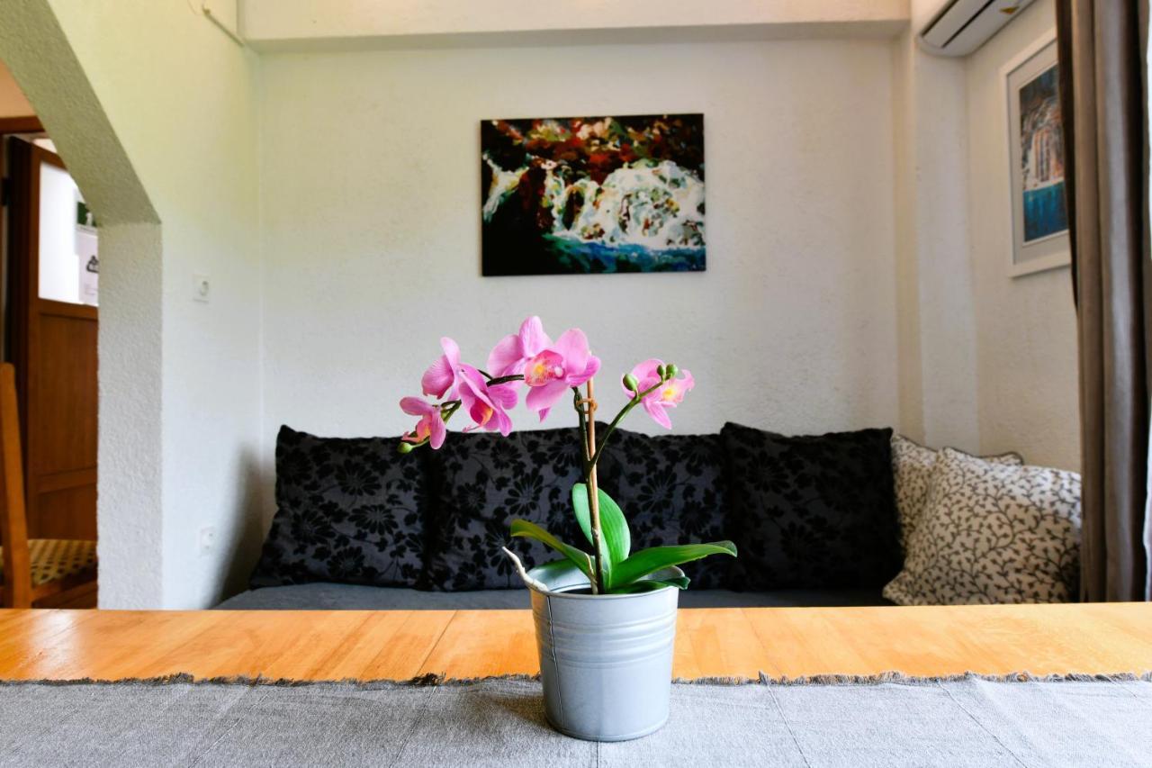 Apartment Marija Zupan 拉科维察 外观 照片